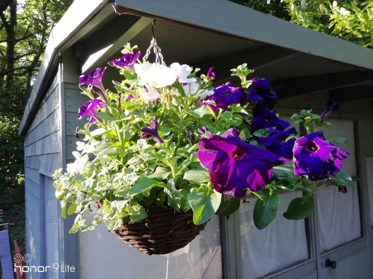 Lowood Cottage Edinburgh Ngoại thất bức ảnh